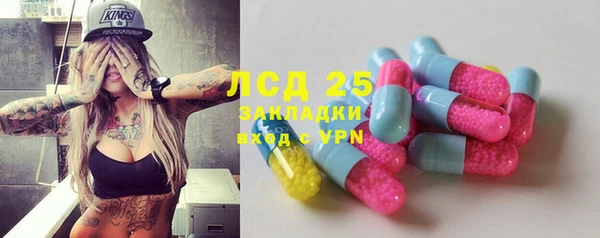 соль ск Алексин