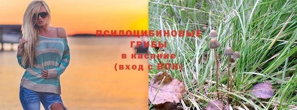 соль ск Алексин